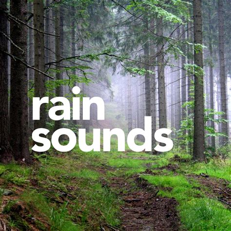 Play a slow tempo song for an even greater experience - e. . Rain sounds